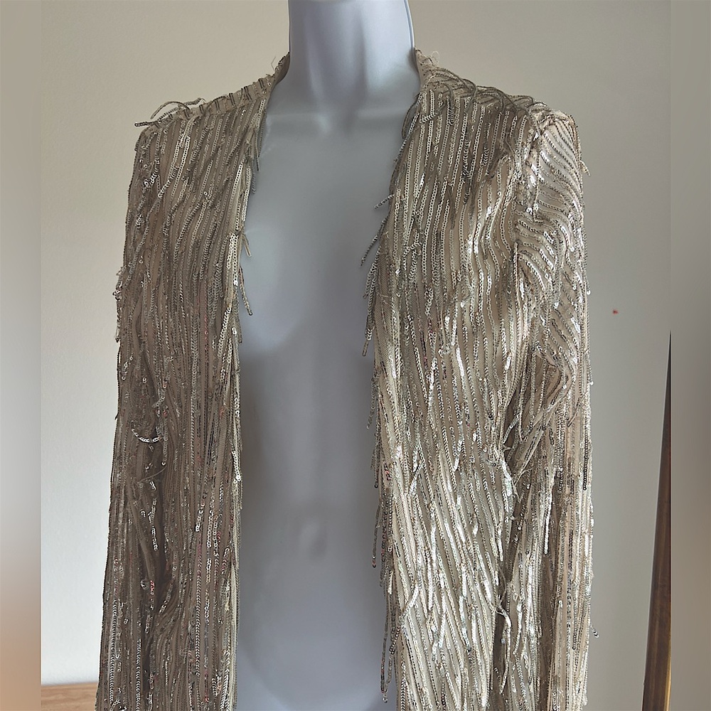 Silver Sequin Fringe Blazer